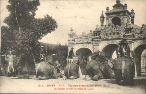 Hue Annam Vietnam Hue Annam Elephants