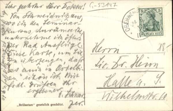 Kynau Goldnen Walde Goldne Waldmühle – Bild 2