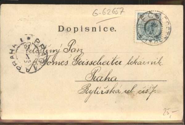 Ledec Sazave Schwan – Bild 2