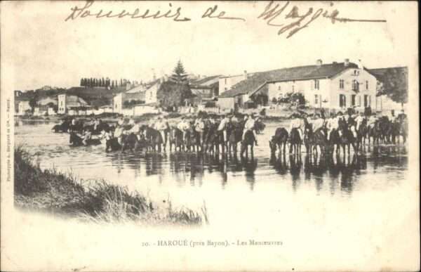 Haroue Pferde