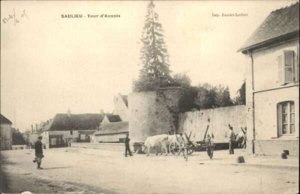 Saulieu Kühe