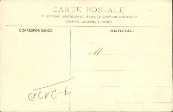 Saulieu Kühe – Bild 2