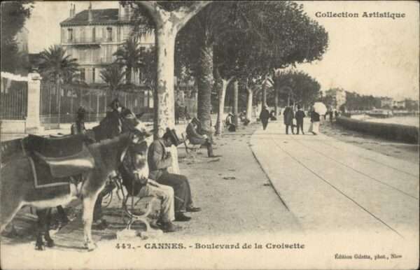 Cannes Alpes-Maritimes Cannes Boulevard Croisette Esel