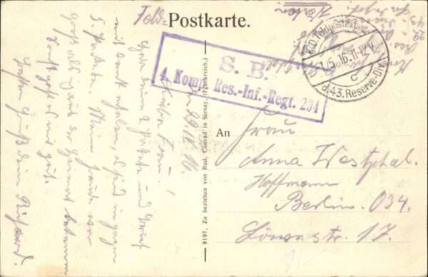 Stenay Pferd – Bild 2