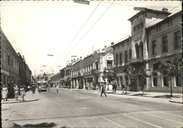 Bemyh Omnibus