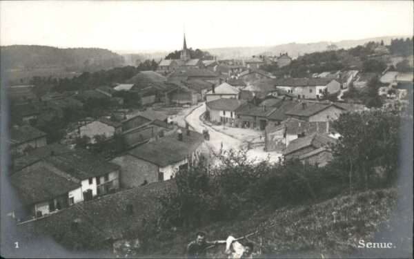Senuc