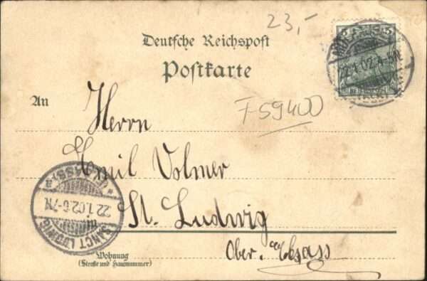 Cambrai Casiez-Bourgeois Cichorie Exposition Ri – Bild 2