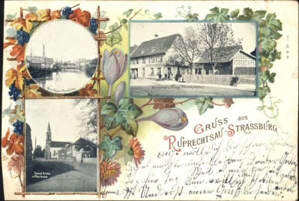 Ruprechtsau Strassburg Papier manufaktur