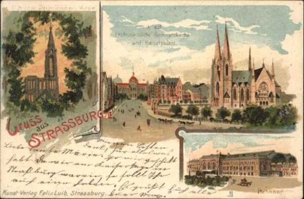 Strasbourg Alsace Strassburg_Elsass Orangerie Münster Gar