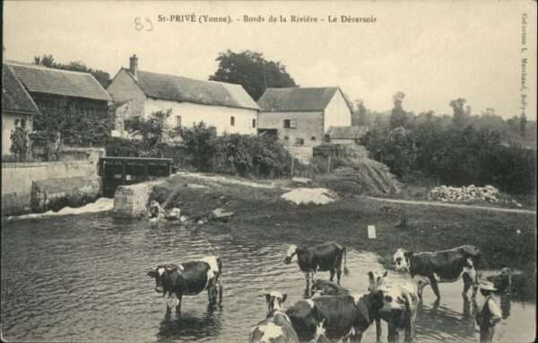 Saint-Prive Yonne Bords Riviere Deversoir