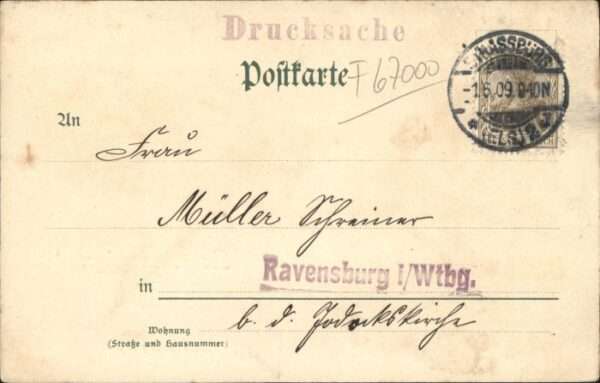 Strasbourg Alsace Strassburg_Elsass Storchnest Rheinbrück – Bild 2