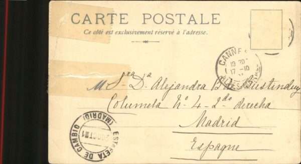Nice Alpes Maritimes Nice Bataille Fleurs Wappen – Bild 2