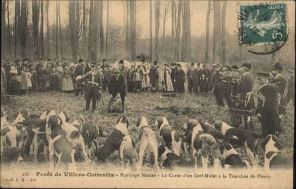 Villers-Cotterets Foret Equipage Menier Curee Cerf Mulet