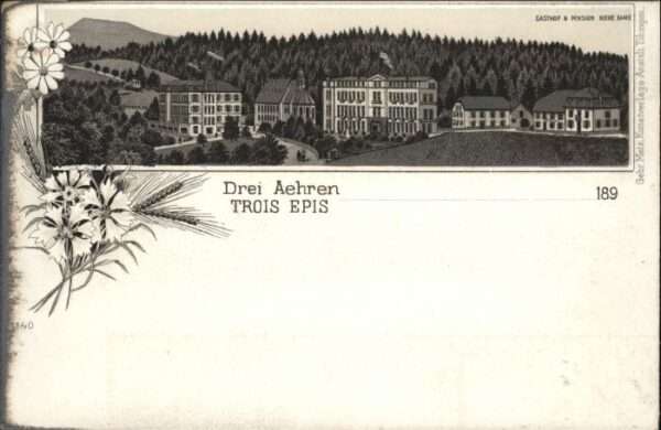 Drei-Aehren Trois-Epis asthof Pension Notre-Dame