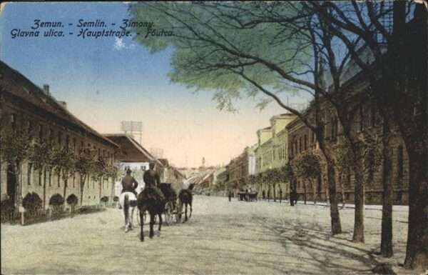 Zemun Semlin Zimony Hauptstrasse Pferd