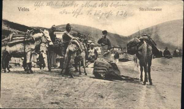 Veles Strassenscene Pferd