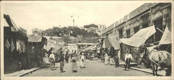 Alexandria Alexandrie Aegypten Bazar Pferd