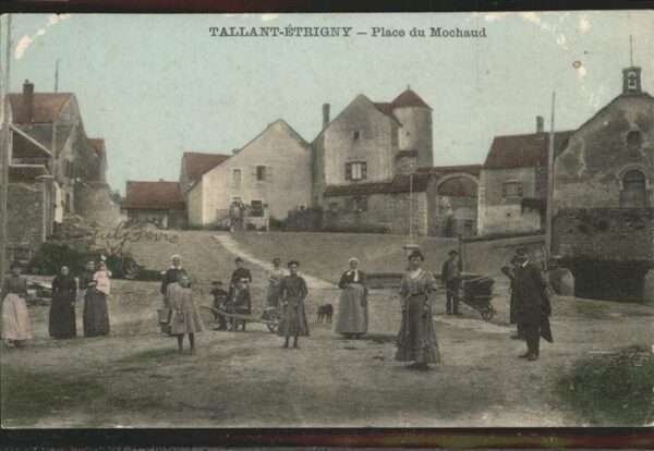 Tallant Place Mochaud Hund