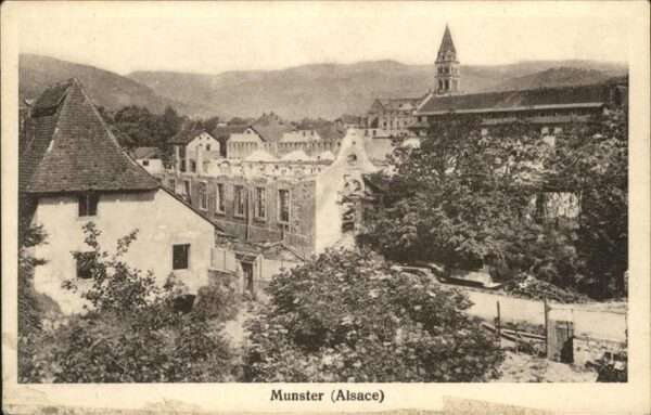 Muenster Haut Rhin Elsass Teilansicht