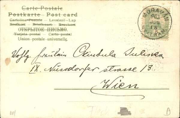 Mailick Erika Nr. 1058 Tracht Frau – Bild 2