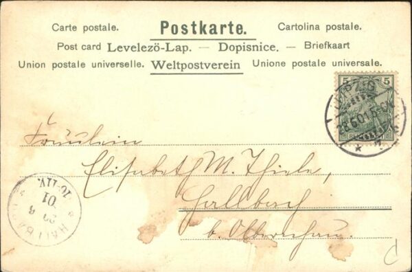 Mailick Erika Nr. 603 Paar Spaziergang Wald – Bild 2
