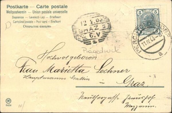 Mailick Weidenkätzchen – Bild 2