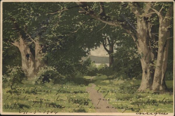 Mailick Nr. 5264 Wald Bäume