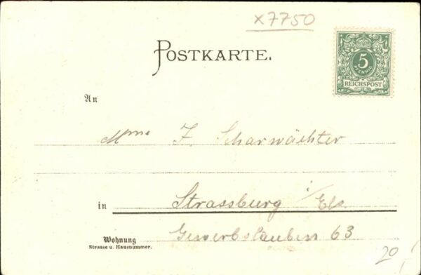 Biese Carl Karl Konstanz Münster – Bild 2