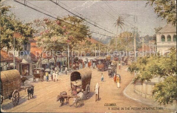 Colombo Ceylon Sri Lanka Scene in the Pettah or Native Town Oile