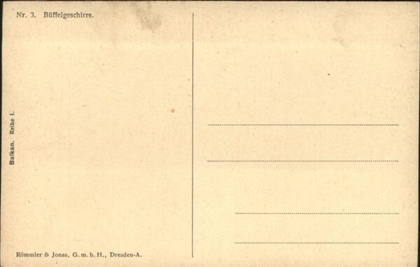 Balkan Büffelgeschirre Nr 3 Kühe – Bild 2