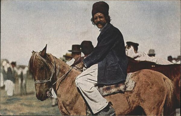 Balkan Zigeuner Nr 4 Pferd