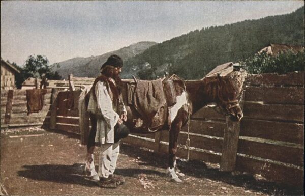 Balkan Hadzule Nr 8 Pferd