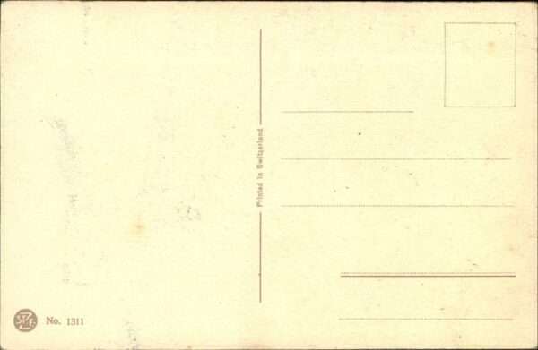 Voegel – Bild 2