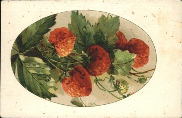 Blumen