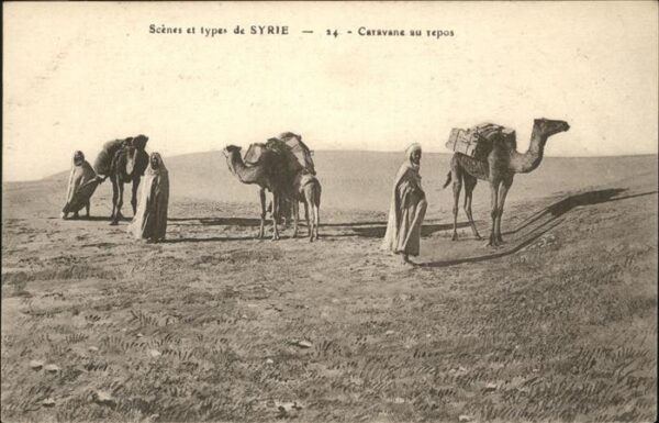 Syrien Syria Syrie Kamel Caravane