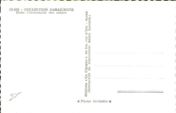 Sahara Kamel – Bild 2