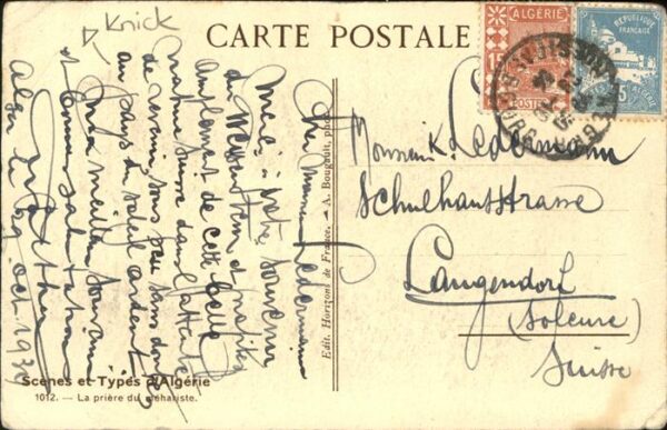 Kamel  Camel Chameau – Bild 2