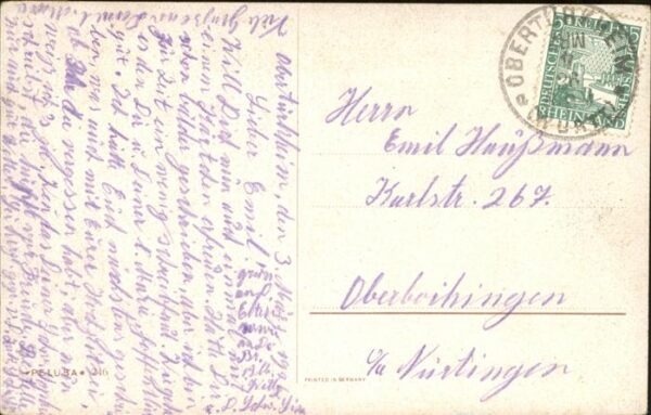 Reh – Bild 2