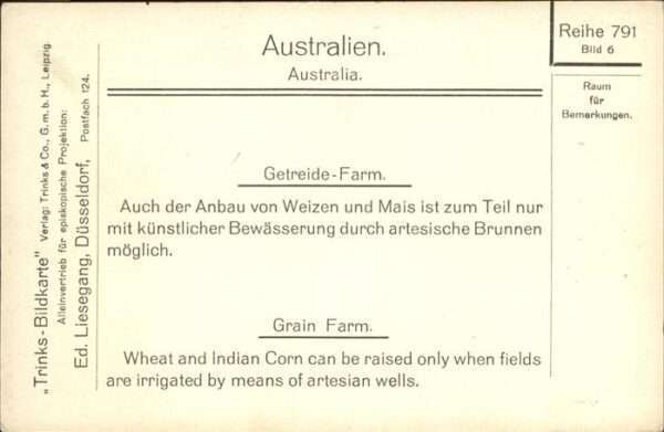 Getreidefarm Australien Pferd – Bild 2