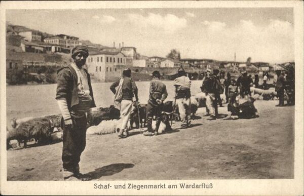 Schafe Ziegenmarkt