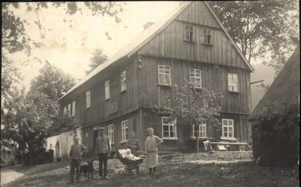 Hunde Haus Kinderwagen