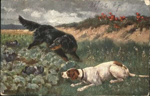 Hunde