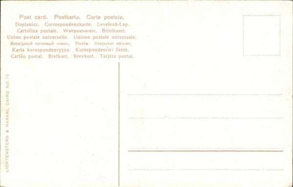 Kamel  Camel Chameau Bicharis – Bild 2