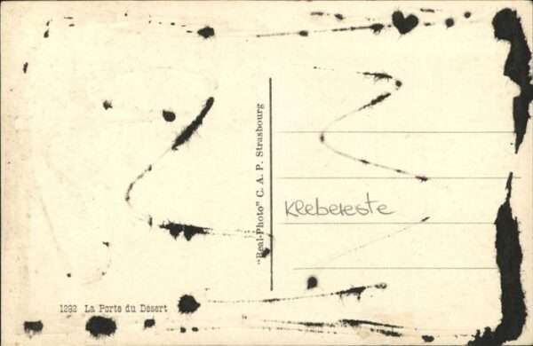 Esel – Bild 2