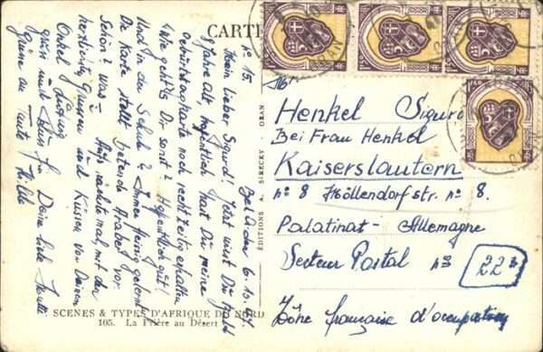 Kamel  Camel Chameau – Bild 2