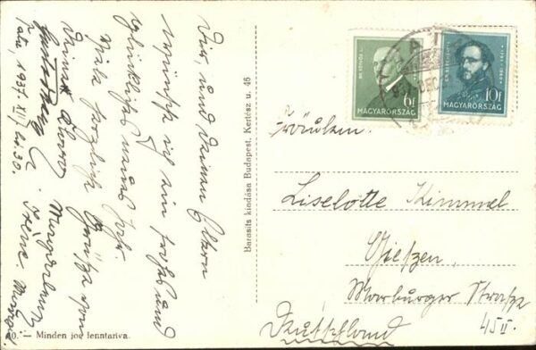 Schweine – Bild 2