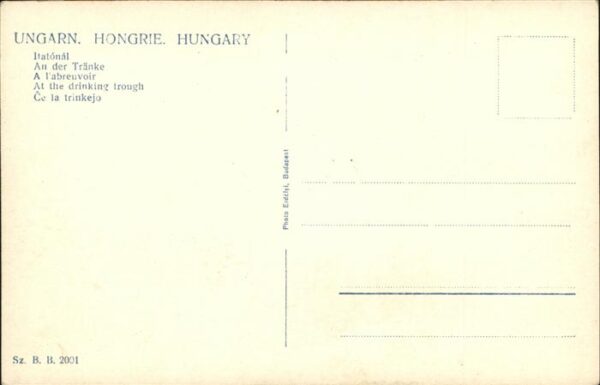 Kuehe – Bild 2