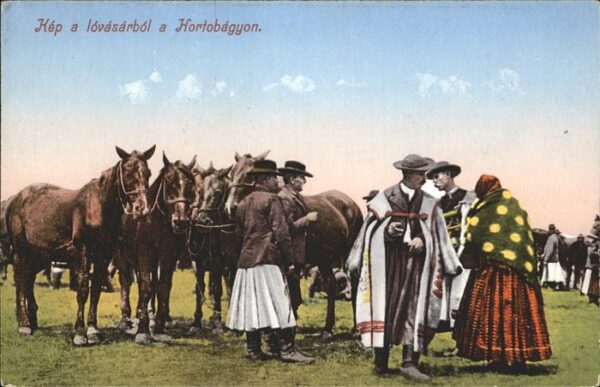Pferde Hortobagyon