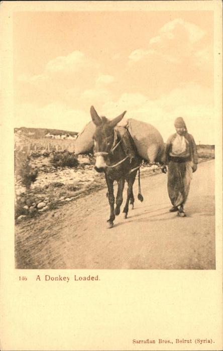 Esel Donkey Loaded