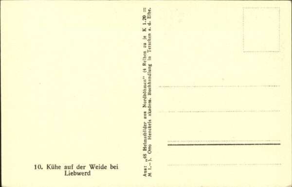 Kuehe – Bild 2